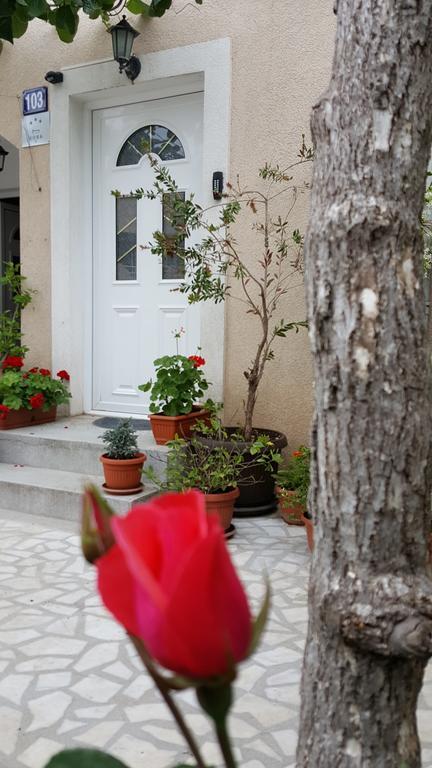 בודווה Hibiscus Guest House מראה חיצוני תמונה